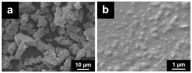 https://cdn.ncbi.nlm.nih.gov/pmc/blobs/27a2/8401312/e142383ae543/pharmaceutics-13-01300-g002.jpg