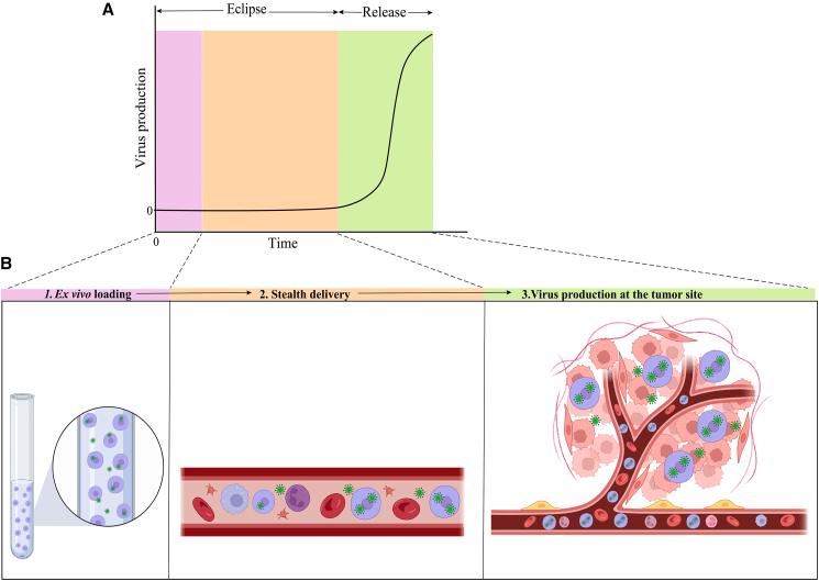 https://cdn.ncbi.nlm.nih.gov/pmc/blobs/27a5/10976516/5641e1175307/gr4.jpg