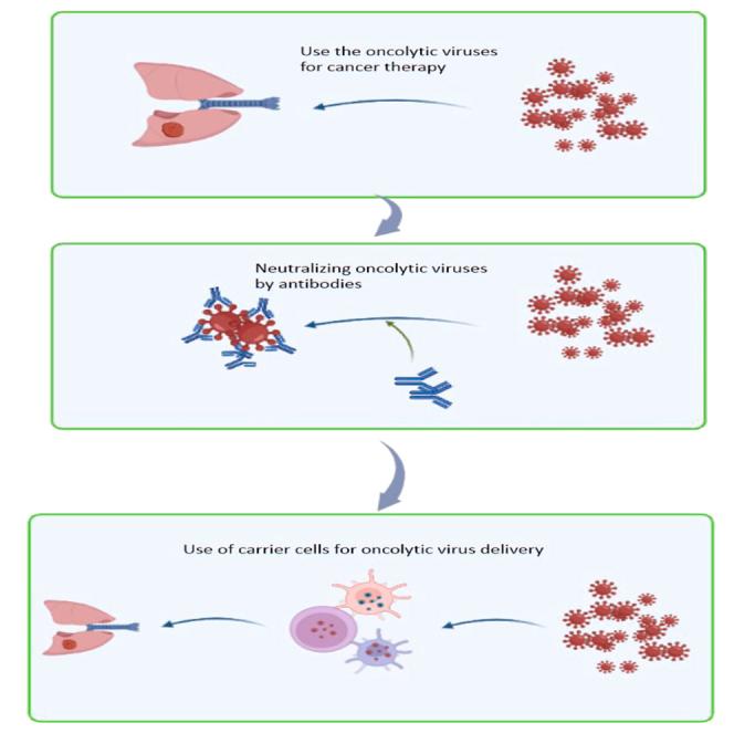 https://cdn.ncbi.nlm.nih.gov/pmc/blobs/27a5/10976516/df27babcc71c/fx1.jpg