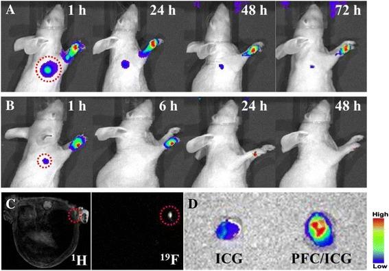 https://cdn.ncbi.nlm.nih.gov/pmc/blobs/27a5/5271138/7b375964694c/40580_2014_6_Fig5_HTML.jpg
