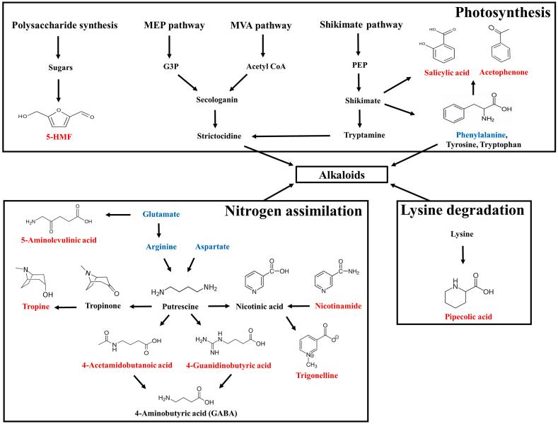 https://cdn.ncbi.nlm.nih.gov/pmc/blobs/27b3/10559953/845345922d36/gr3.jpg