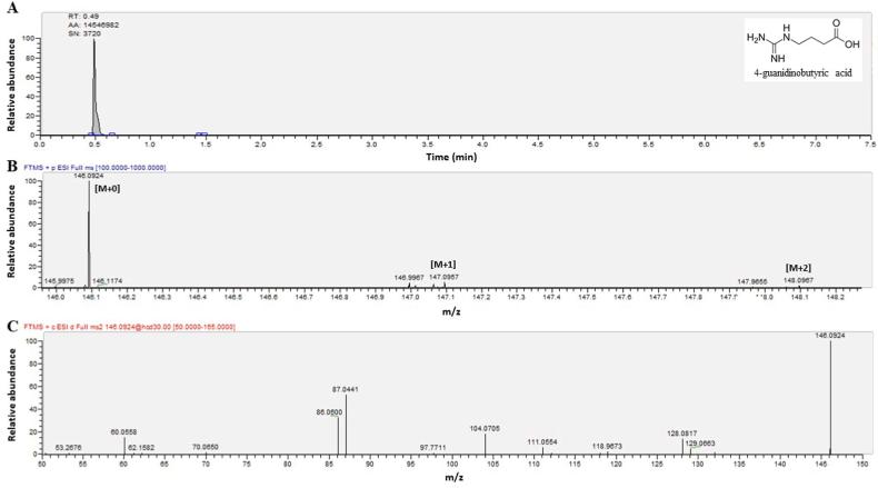 https://cdn.ncbi.nlm.nih.gov/pmc/blobs/27b3/10559953/8a714c189259/gr2.jpg
