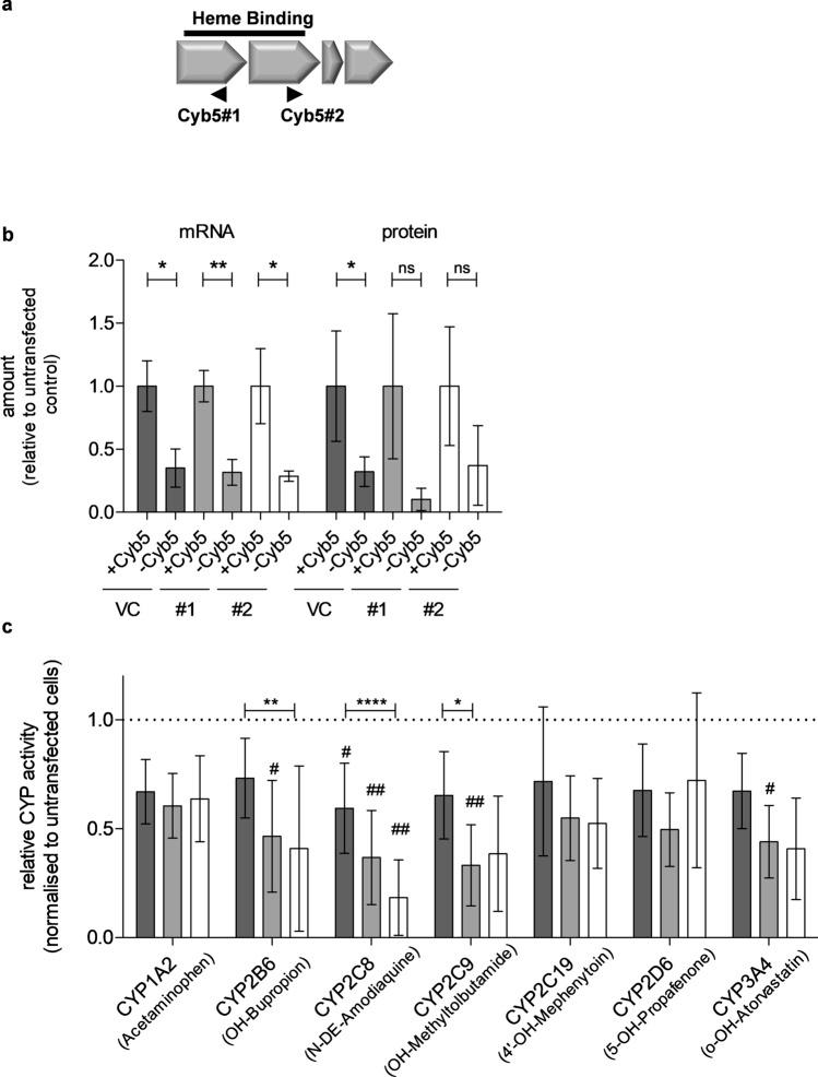https://cdn.ncbi.nlm.nih.gov/pmc/blobs/27b3/7806635/e5bb2c113ae1/41598_2020_79952_Fig5_HTML.jpg