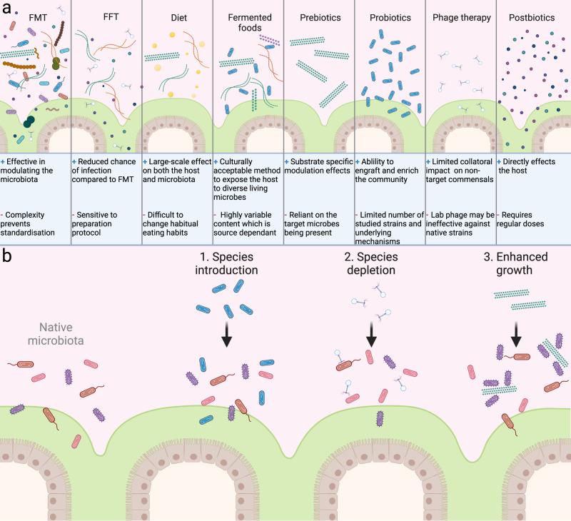 https://cdn.ncbi.nlm.nih.gov/pmc/blobs/27b4/9705255/4633af64ea55/41385_2022_564_Fig1_HTML.jpg