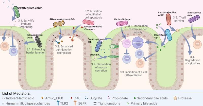 https://cdn.ncbi.nlm.nih.gov/pmc/blobs/27b4/9705255/e591103dc809/41385_2022_564_Fig2_HTML.jpg