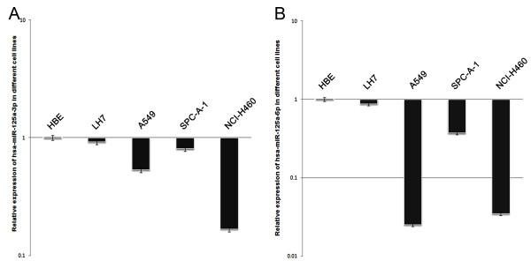 https://cdn.ncbi.nlm.nih.gov/pmc/blobs/27b6/2903529/66daf22ae5f6/1471-2407-10-318-5.jpg