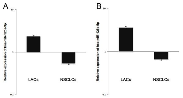 https://cdn.ncbi.nlm.nih.gov/pmc/blobs/27b6/2903529/90bbe2cc658c/1471-2407-10-318-3.jpg