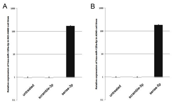 https://cdn.ncbi.nlm.nih.gov/pmc/blobs/27b6/2903529/9291e4569afc/1471-2407-10-318-6.jpg