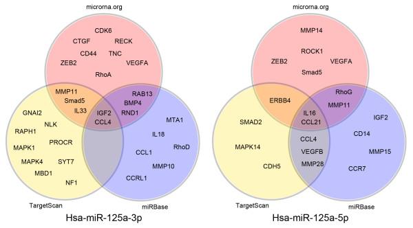 https://cdn.ncbi.nlm.nih.gov/pmc/blobs/27b6/2903529/d51708a9efa1/1471-2407-10-318-4.jpg