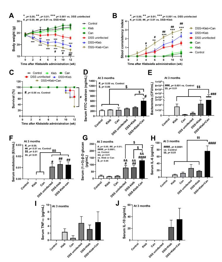https://cdn.ncbi.nlm.nih.gov/pmc/blobs/27b6/9266745/23cc37e8fe6c/ijms-23-07050-g001.jpg