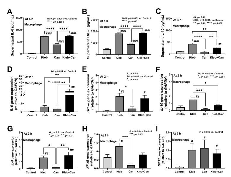 https://cdn.ncbi.nlm.nih.gov/pmc/blobs/27b6/9266745/78641996e58b/ijms-23-07050-g008.jpg