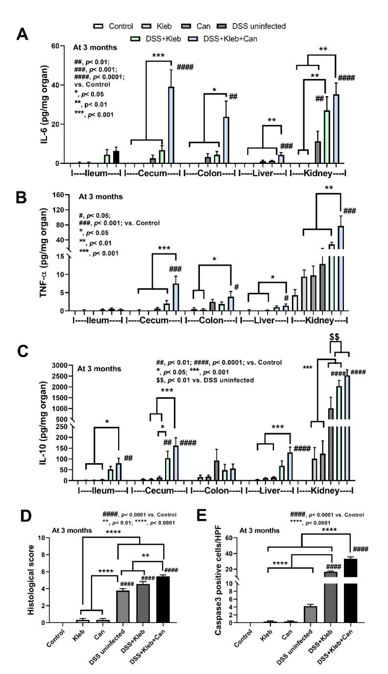 https://cdn.ncbi.nlm.nih.gov/pmc/blobs/27b6/9266745/7b11ab9d241c/ijms-23-07050-g002.jpg