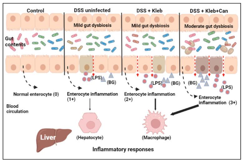 https://cdn.ncbi.nlm.nih.gov/pmc/blobs/27b6/9266745/f3a9fe57e7bc/ijms-23-07050-g009.jpg