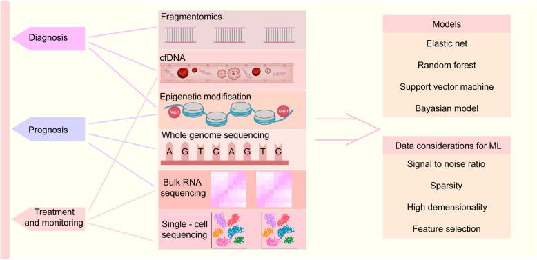 https://cdn.ncbi.nlm.nih.gov/pmc/blobs/27b7/11923355/04c2880e18df/43556_2025_257_Fig4_HTML.jpg