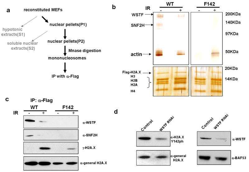 https://cdn.ncbi.nlm.nih.gov/pmc/blobs/27b7/2854499/2cafd7988e2b/nihms102681f2.jpg