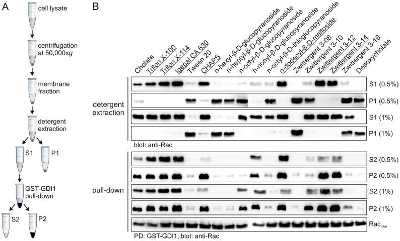 https://cdn.ncbi.nlm.nih.gov/pmc/blobs/27b7/4094549/fe644f156924/pone.0102425.g001.jpg