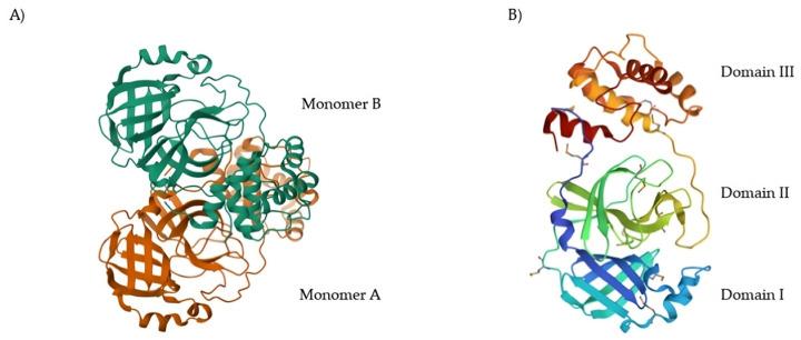https://cdn.ncbi.nlm.nih.gov/pmc/blobs/27b9/10647625/06d55b8c340c/biomolecules-13-01339-g001.jpg