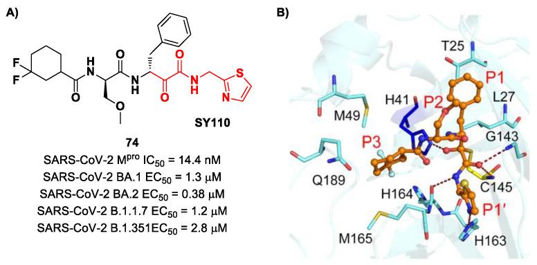 https://cdn.ncbi.nlm.nih.gov/pmc/blobs/27b9/10647625/3d5e44471d5b/biomolecules-13-01339-g047.jpg