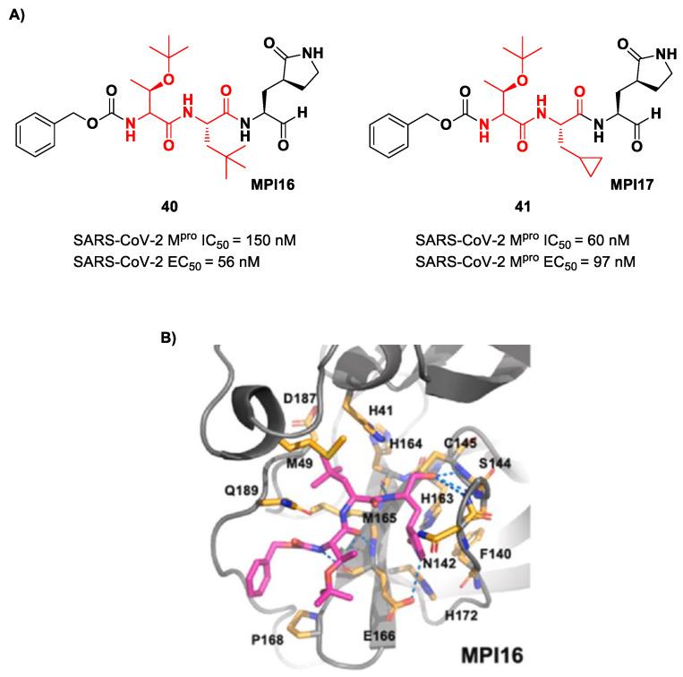 https://cdn.ncbi.nlm.nih.gov/pmc/blobs/27b9/10647625/6e70544bc3c4/biomolecules-13-01339-g024.jpg