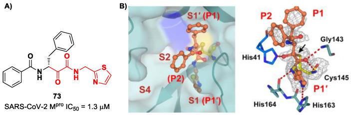 https://cdn.ncbi.nlm.nih.gov/pmc/blobs/27b9/10647625/6f7359338041/biomolecules-13-01339-g046.jpg