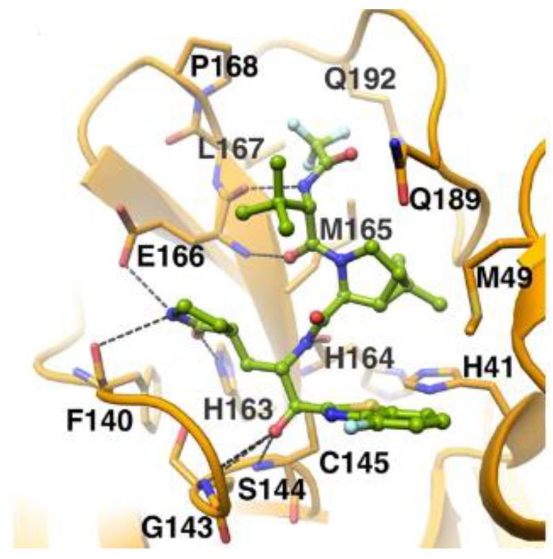https://cdn.ncbi.nlm.nih.gov/pmc/blobs/27b9/10647625/7460cd820832/biomolecules-13-01339-g028.jpg