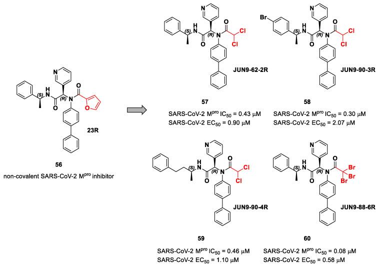 https://cdn.ncbi.nlm.nih.gov/pmc/blobs/27b9/10647625/85a2e6a1a160/biomolecules-13-01339-g036.jpg