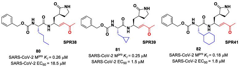 https://cdn.ncbi.nlm.nih.gov/pmc/blobs/27b9/10647625/d09ddee9c9ef/biomolecules-13-01339-g051.jpg