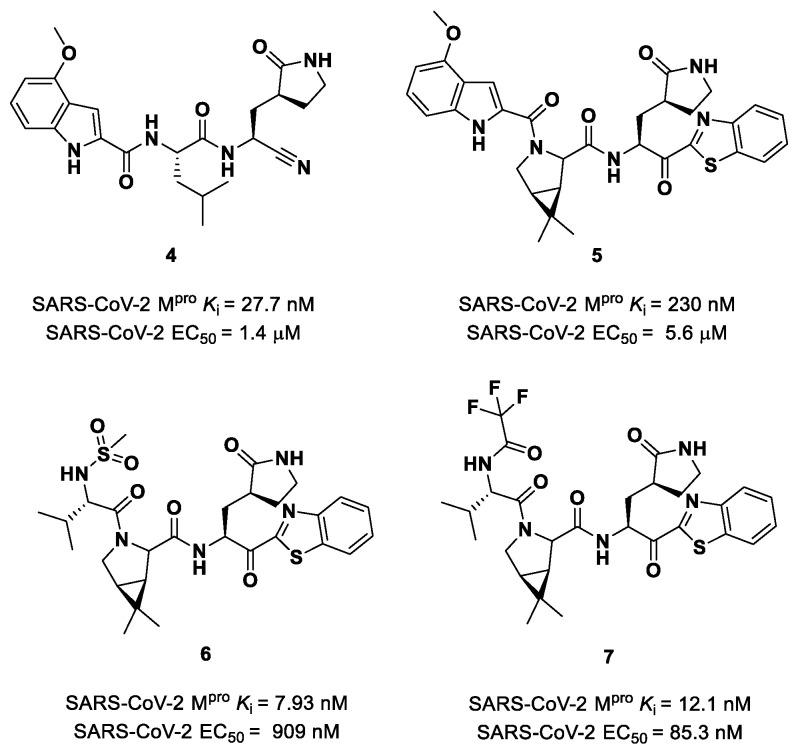 https://cdn.ncbi.nlm.nih.gov/pmc/blobs/27b9/10647625/d8cc73ccbd03/biomolecules-13-01339-g005.jpg