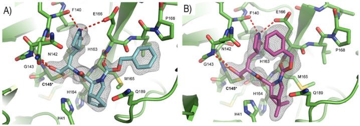 https://cdn.ncbi.nlm.nih.gov/pmc/blobs/27b9/10647625/ff3b1a81c99c/biomolecules-13-01339-g020.jpg