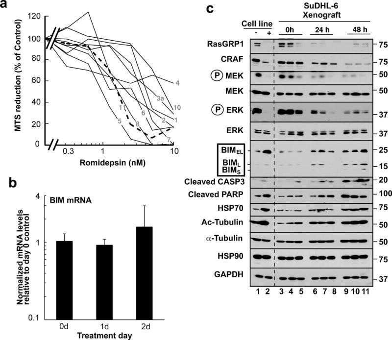 https://cdn.ncbi.nlm.nih.gov/pmc/blobs/27bb/5474223/855bb724ea85/nihms828650f7.jpg