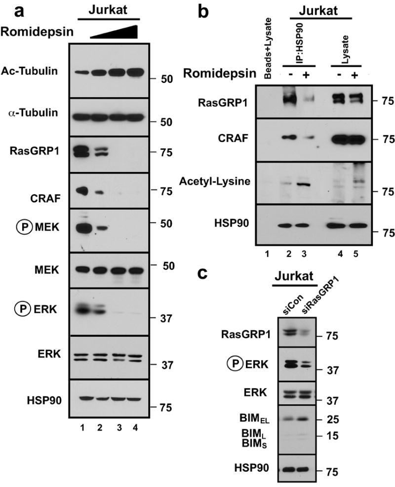 https://cdn.ncbi.nlm.nih.gov/pmc/blobs/27bb/5474223/924df8ef7e45/nihms828650f4.jpg