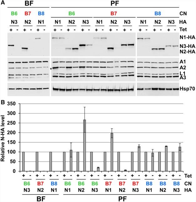 https://cdn.ncbi.nlm.nih.gov/pmc/blobs/27bd/6800513/f9d3f9f31250/1150f04.jpg