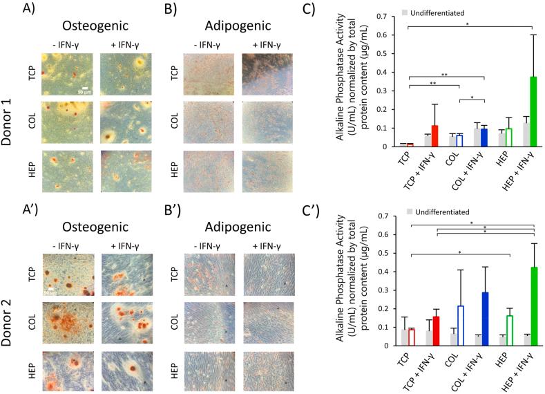 https://cdn.ncbi.nlm.nih.gov/pmc/blobs/27bf/8715375/095befc55ac6/gr6.jpg