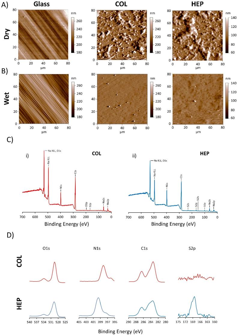 https://cdn.ncbi.nlm.nih.gov/pmc/blobs/27bf/8715375/6ed49213a59f/gr2.jpg
