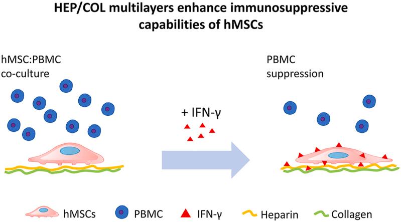 https://cdn.ncbi.nlm.nih.gov/pmc/blobs/27bf/8715375/d91ac8d19baa/ga1.jpg