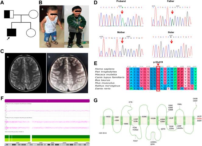https://cdn.ncbi.nlm.nih.gov/pmc/blobs/27bf/9520306/6d377d6c3e53/fgene-13-977914-g001.jpg