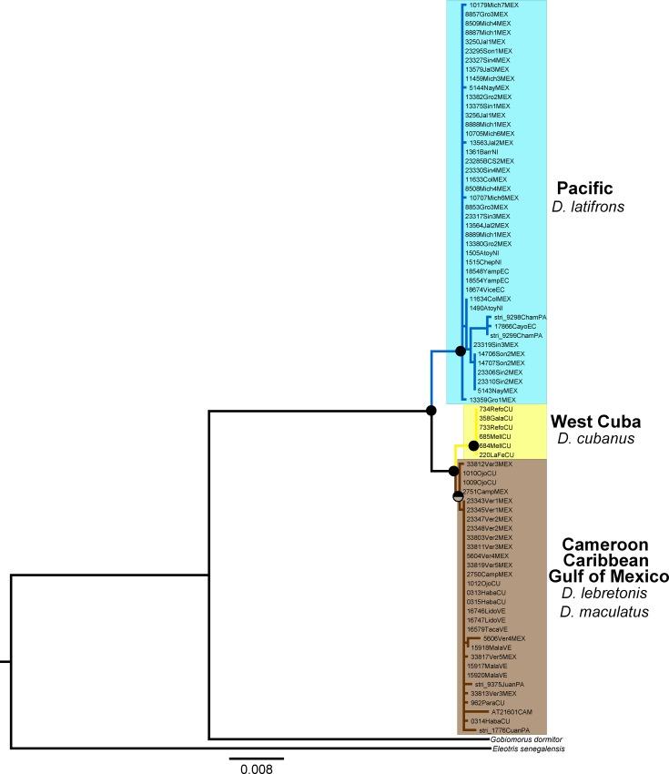 https://cdn.ncbi.nlm.nih.gov/pmc/blobs/27c0/4830628/cc0757bfc447/pone.0153538.g003.jpg