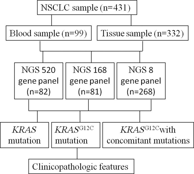 https://cdn.ncbi.nlm.nih.gov/pmc/blobs/27c1/7979353/956d5fd4e9c1/CMAR-13-2447-g0001.jpg