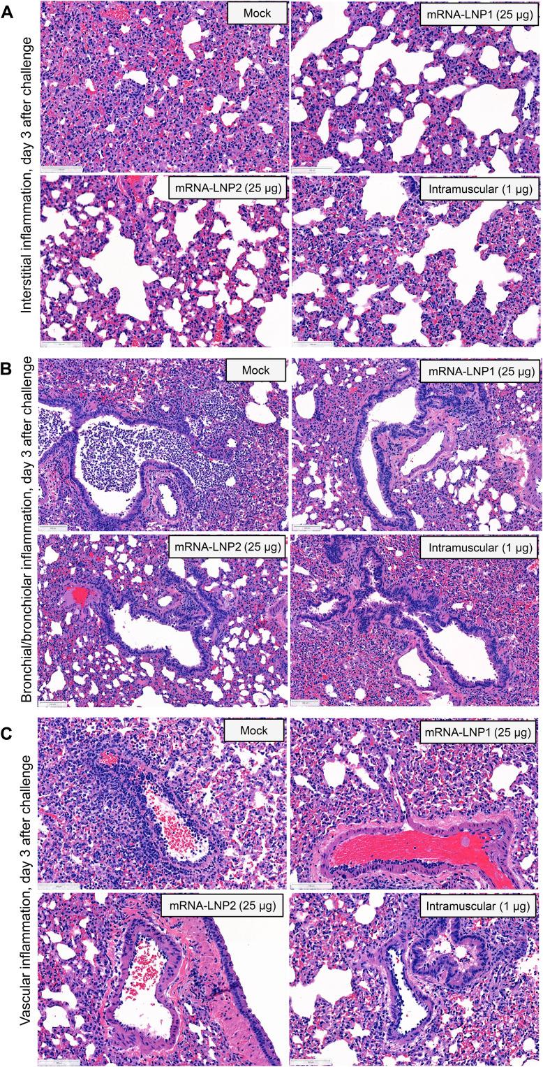 https://cdn.ncbi.nlm.nih.gov/pmc/blobs/27c2/10516494/0b22e4ce8ce0/sciadv.adh1655-f5.jpg