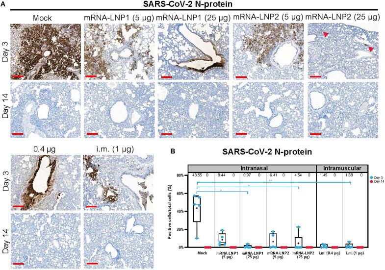 https://cdn.ncbi.nlm.nih.gov/pmc/blobs/27c2/10516494/73bd95019e5e/sciadv.adh1655-f6.jpg