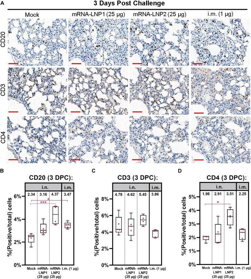 https://cdn.ncbi.nlm.nih.gov/pmc/blobs/27c2/10516494/929d27fbdabe/sciadv.adh1655-f7.jpg