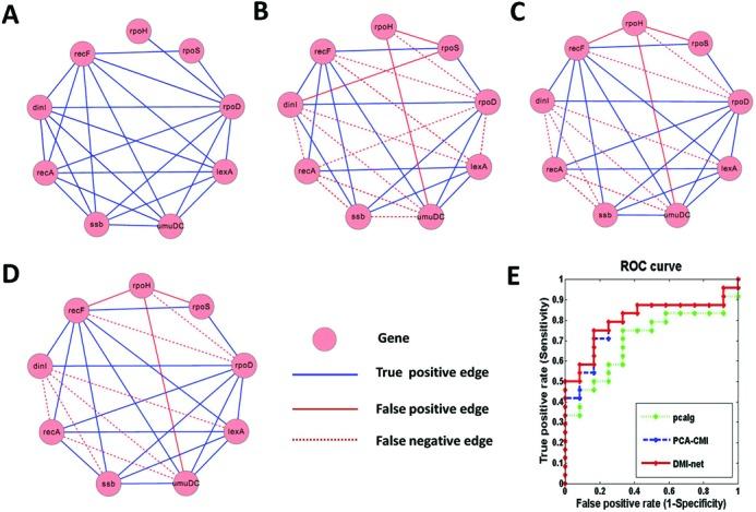 https://cdn.ncbi.nlm.nih.gov/pmc/blobs/27c3/4357691/b5796965981a/gku1315fig4.jpg