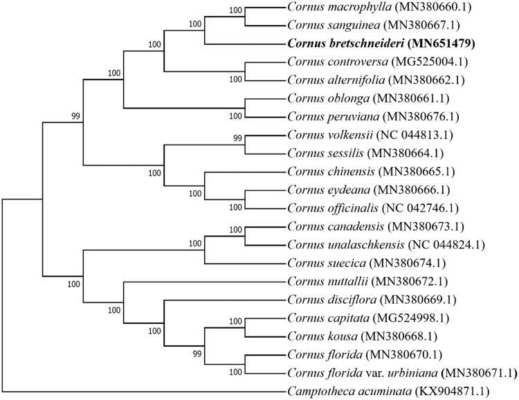 https://cdn.ncbi.nlm.nih.gov/pmc/blobs/27c3/7748772/30ba3df8d790/TMDN_A_1710281_F0001_B.jpg