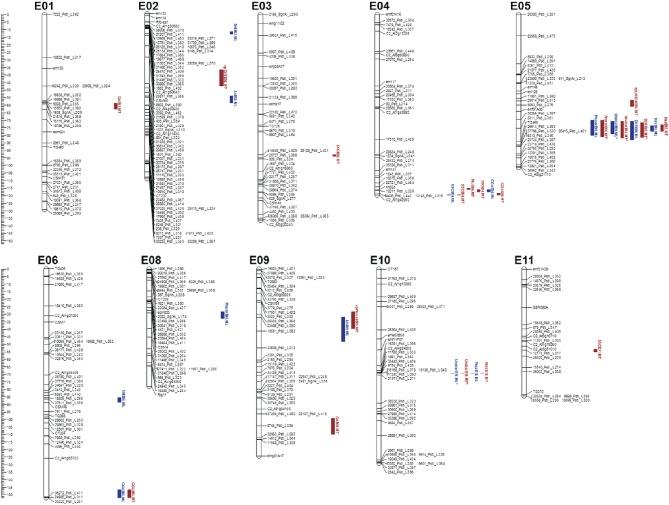 https://cdn.ncbi.nlm.nih.gov/pmc/blobs/27c4/4777957/04a91597c75a/fpls-07-00256-g0002.jpg