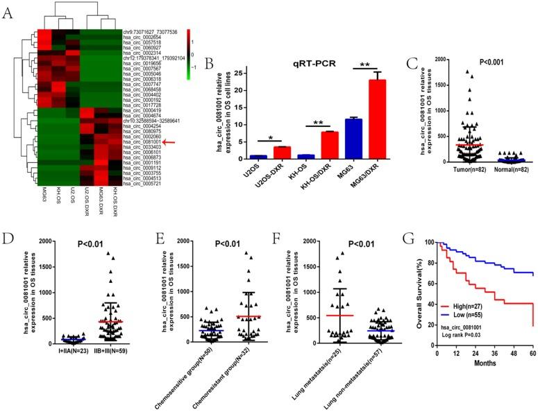 https://cdn.ncbi.nlm.nih.gov/pmc/blobs/27c4/6158732/041f7b1ee0ad/ijbsv14p1513g001.jpg