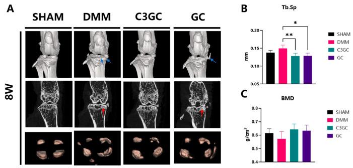 https://cdn.ncbi.nlm.nih.gov/pmc/blobs/27c5/12115434/09a9c32b7356/vetsci-12-00462-g003.jpg
