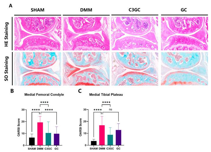 https://cdn.ncbi.nlm.nih.gov/pmc/blobs/27c5/12115434/6fe56a34869a/vetsci-12-00462-g004.jpg