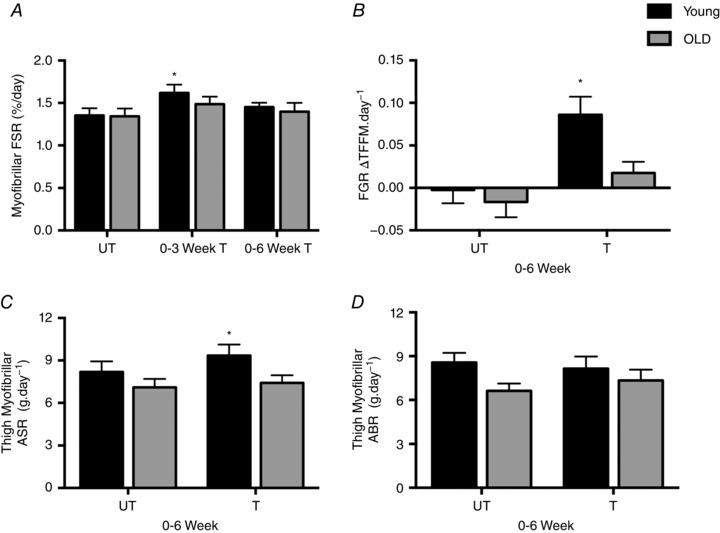 https://cdn.ncbi.nlm.nih.gov/pmc/blobs/27c5/5157077/02c7649741fa/TJP-594-7399-g004.jpg
