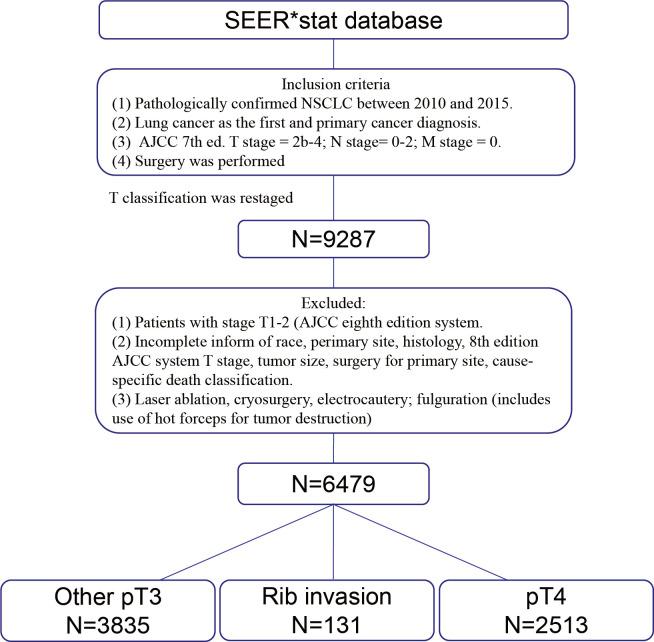 https://cdn.ncbi.nlm.nih.gov/pmc/blobs/27c5/9846632/64d1c6681af5/fonc-12-1082850-g001.jpg