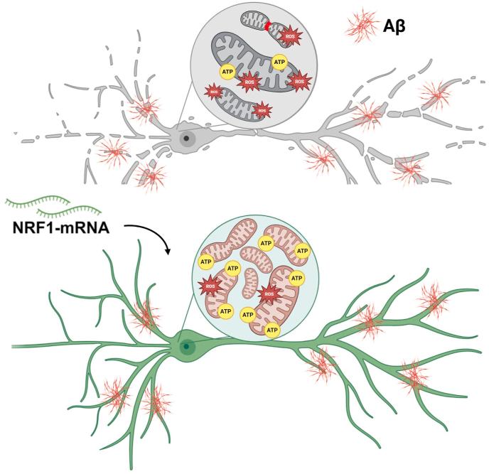 https://cdn.ncbi.nlm.nih.gov/pmc/blobs/27cc/12014405/5b7102a6c77b/gr7.jpg